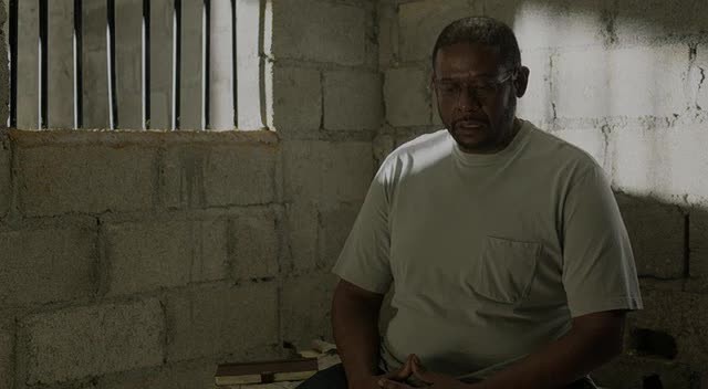 Karanlık Gerçek Fotoğrafı