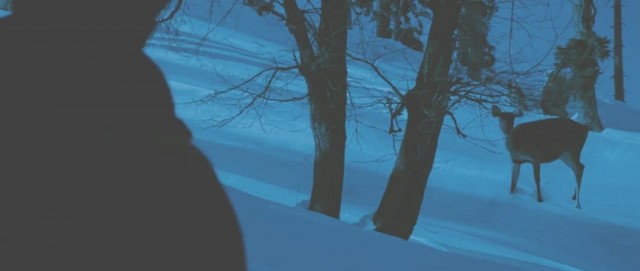 Yeh Jawaani Hai Deewani Fotoğrafı