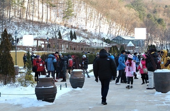 Wind Blows in Winter Fotoğrafı