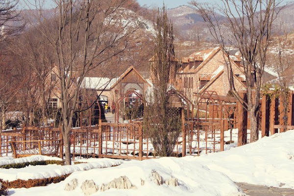 Wind Blows in Winter Fotoğrafı