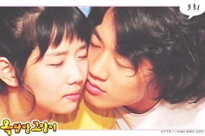 Rooftop Room Cat Fotoğrafı