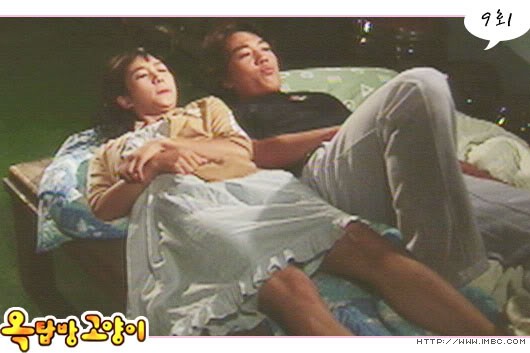 Rooftop Room Cat Fotoğrafı