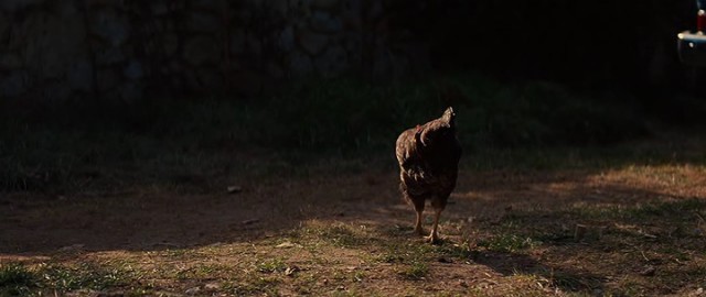 Aşk Tarifi Fotoğrafı