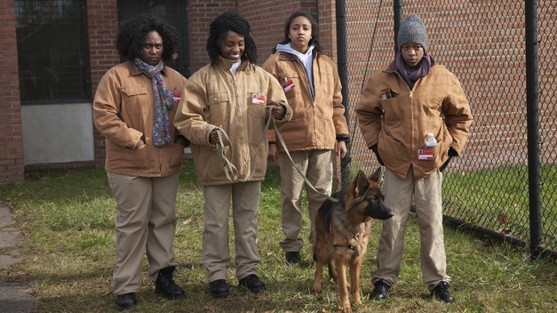 Orange Is the New Black Fotoğrafı