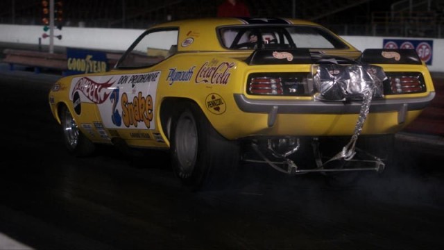 Snake & Mongoose Fotoğrafı