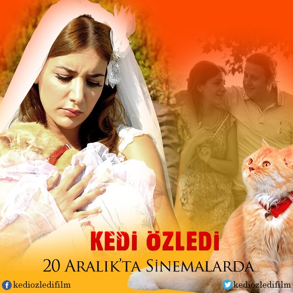 Kedi Özledi Fotoğrafı