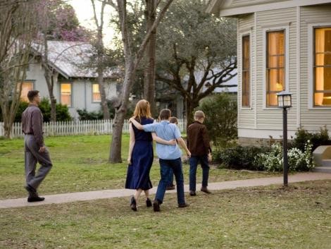 Hayat Ağacı Fotoğrafı