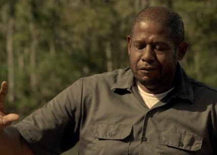 Pişmanlık Fotoğrafı