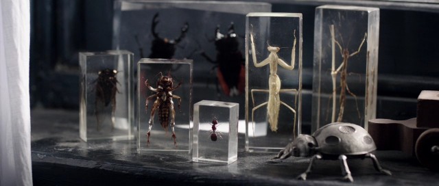 Karabasan Fotoğrafı