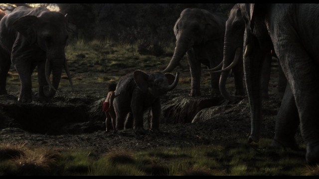 Orman Çocuğu Fotoğrafı