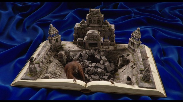 Orman Çocuğu Fotoğrafı