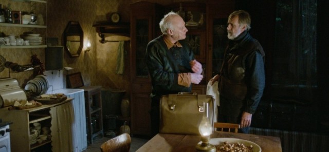 Mandalina Bahçesi Fotoğrafı