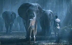 Tarzan Efsanesi Fotoğrafı