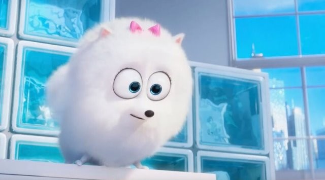 Evcil Hayvanların Gizli Yaşamı Fotoğrafı