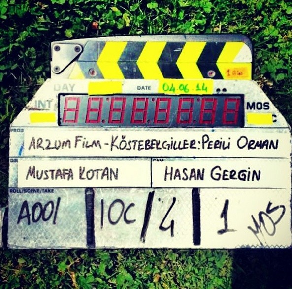 Köstebekgiller: Perili Orman Fotoğrafı