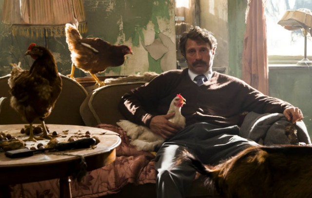 İnsanlar ve Tavuklar Fotoğrafı