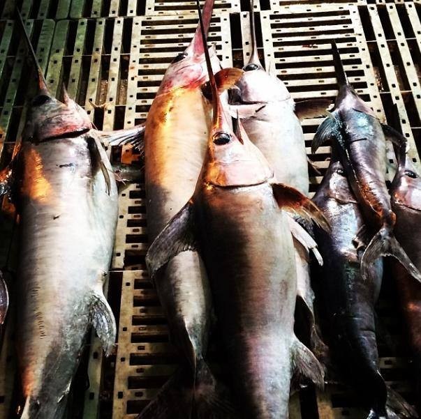 Bekir Develi ile Keşif Zamanı Fotoğrafı