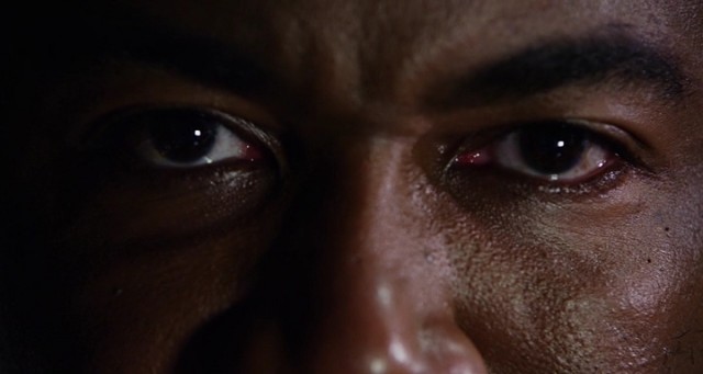 Falcon Rising Fotoğrafı