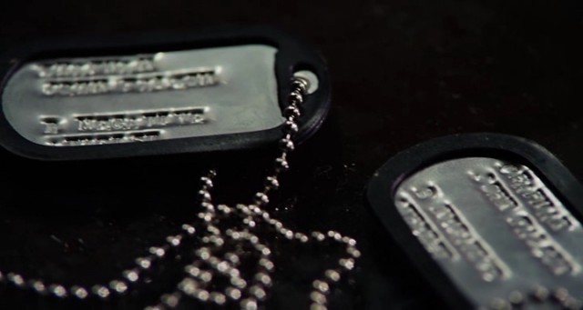 Falcon Rising Fotoğrafı