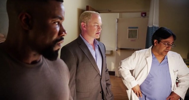 Falcon Rising Fotoğrafı