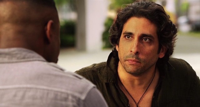 Falcon Rising Fotoğrafı