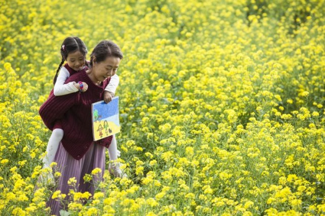 Canola Fotoğrafı