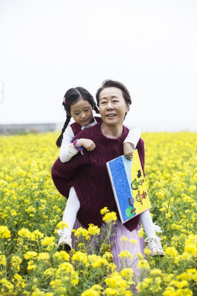 Canola Fotoğrafları 9