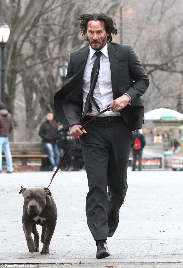John Wick 2 Fotoğrafı