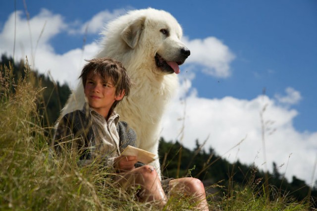 Sebastian: Sevgili Dostum Fotoğrafı