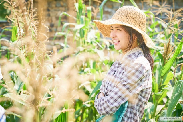 Little Forest Fotoğrafı