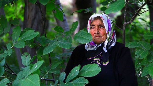 Gelin Fotoğrafı