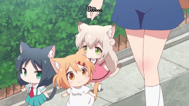 Nyanko Days Fotoğrafı