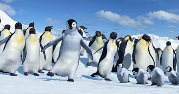 Neşeli Ayaklar Fotoğrafı