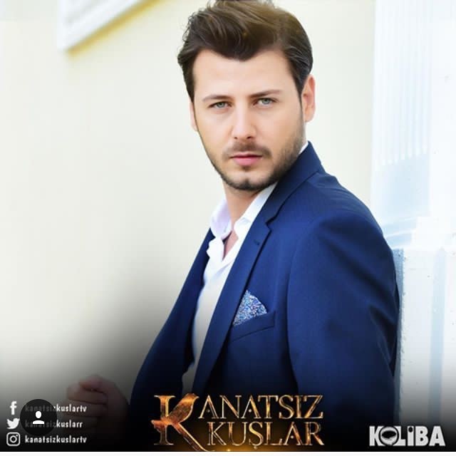 Kanatsız Kuşlar Fotoğrafı