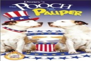 Köpek Başkan Olursa Fotoğrafı