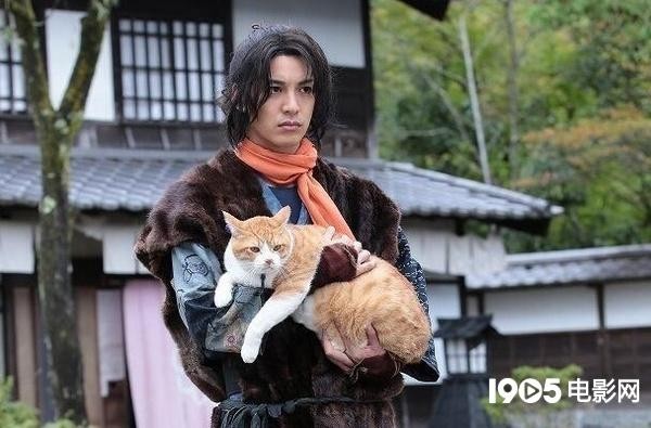 Neko Ninja Fotoğrafı