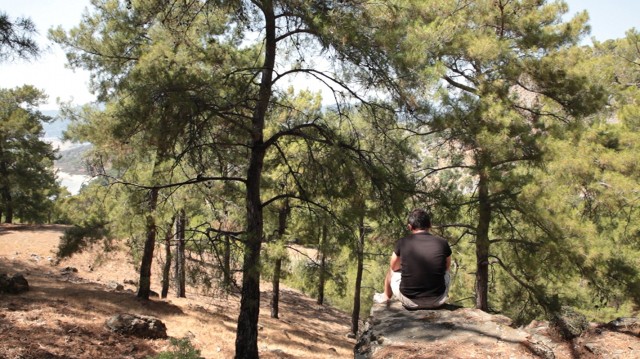 Gayış fotoğrafı
