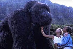 Koca Bebek Joe Fotoğrafı