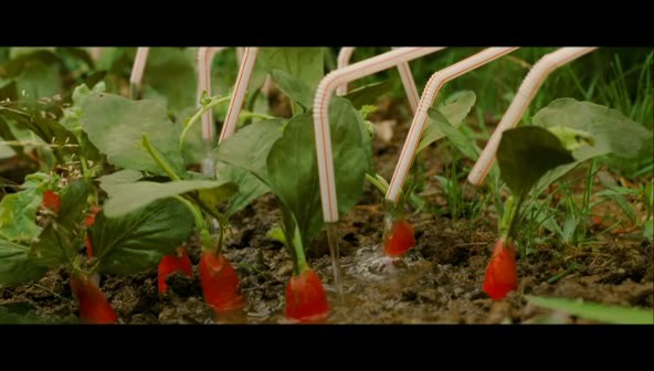 Arthur ile Minimoylar Fotoğrafı