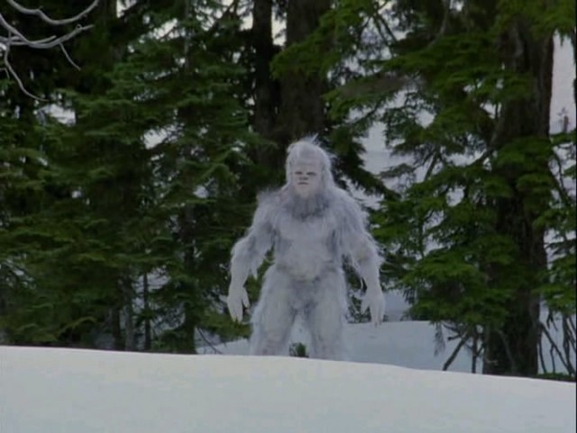 Kardaki Yaratık: Yeti Fotoğrafı
