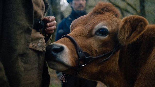 First Cow Fotoğrafı