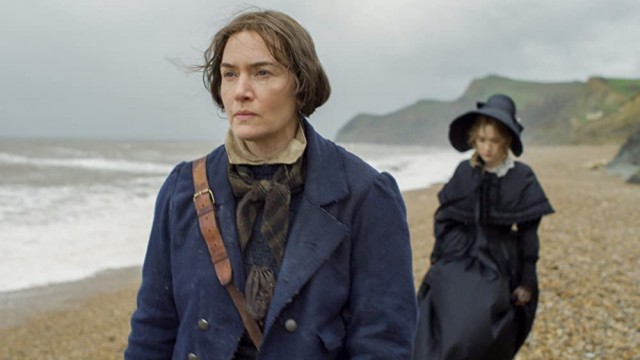 Ammonite Fotoğrafı