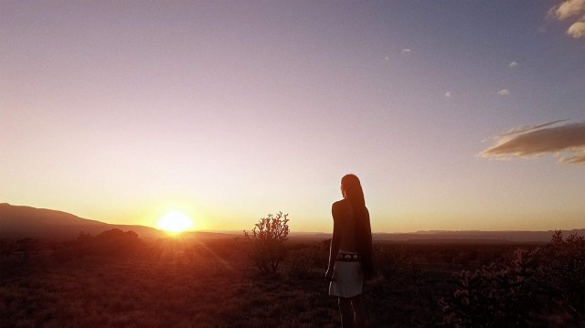 Words from a Bear Fotoğrafı