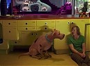 Scooby Doo 2: Canavarlar Kaçtı Fotoğrafı