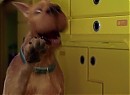 Scooby Doo 2: Canavarlar Kaçtı Fotoğrafı