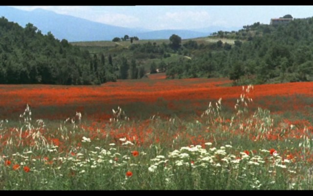 Ay ve Güneş Kardeşler fotoğrafı