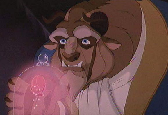 Güzel ve Çirkin Fotoğrafı