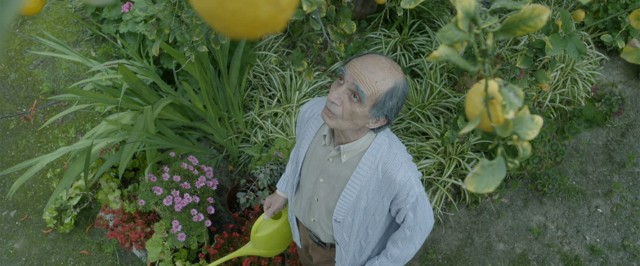 Senior Citizen Fotoğrafı