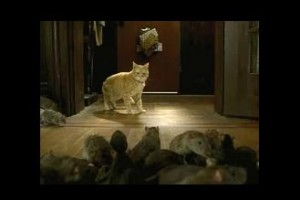 Willard'ın Fareleri Fotoğrafı