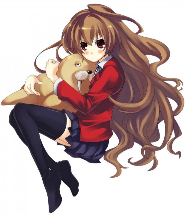 Toradora! Fotoğrafı